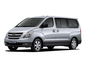 Коврики в салон (2 ряда) Hyundai Grand Starex II 2007-2018 (12 мест/9 мест без последнего ряда)*