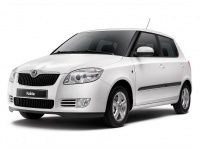 Skoda Fabia II Hb/Wag (40/60) с 07-14г.